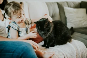 Criança pequena acariciando um gato preto enquanto está sentada no sofá com um adulto.