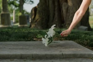 Pessoa colocando flores brancas sobre um túmulo em um cemitério.